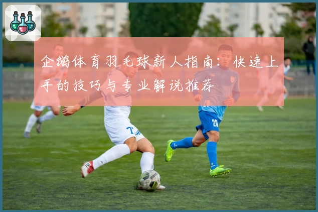 企鹅体育羽毛球新人指南：快速上手的技巧与专业解说推荐