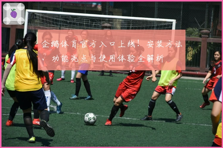 企鹅体育官方入口上线！安装方法、功能亮点与使用体验全解析