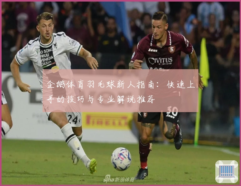企鹅体育羽毛球新人指南：快速上手的技巧与专业解说推荐