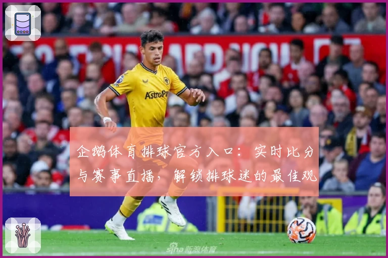 企鹅体育排球官方入口:实时比分与赛事直播,解锁排球迷的最佳观赛体验