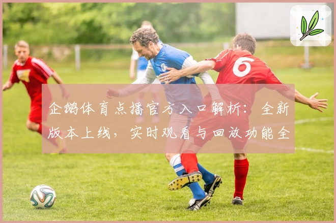 企鹅体育点播官方入口解析：全新版本上线，实时观看与回放功能全面升级
