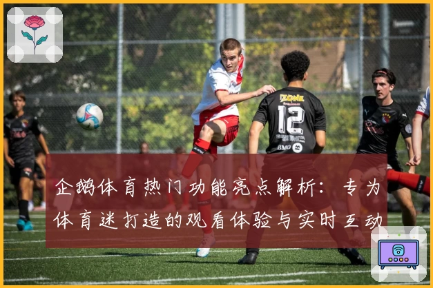 企鹅体育热门功能亮点解析：专为体育迷打造的观看体验与实时互动平台