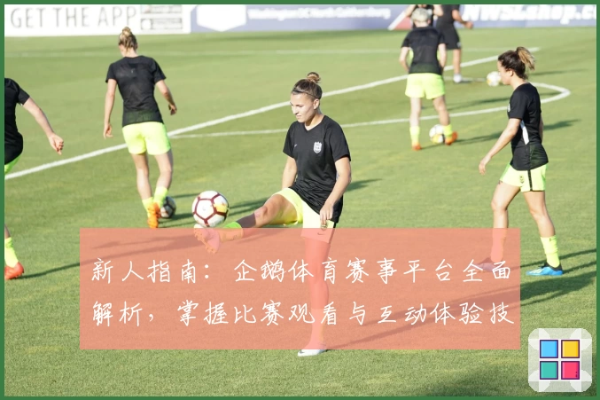 新人指南：企鹅体育赛事平台全面解析，掌握比赛观看与互动体验技巧
